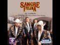 Sangre Felina El Patron Official Music Video and Lyrics
