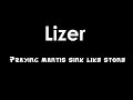 Lizer Chronicles Continues