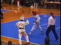 Taekwondo Fighting