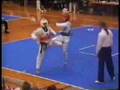 Taekwondo Fighting View Video