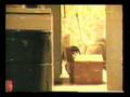 videos de Me in a box