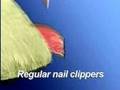 Pedi Paws Commercial