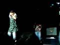 Dalmata-concierto-de