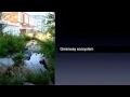 Videothumbnail: TEDxBerlin 2011 "High Energy": Lehna Malmkvist - "Designing with Nature"