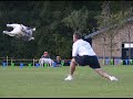 Dog Hurling