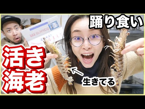 動画