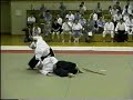 Tenji Sinyo-ryu Jujutsu
