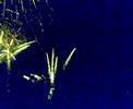 videos de FESTA MAYOR DE ST. PERE 2008 - Focs d'artifici
