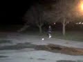 Rob Gets Hit By Joe