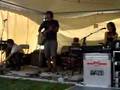 Jesse Matheson @ the folkfest