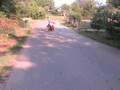 Morning Ride