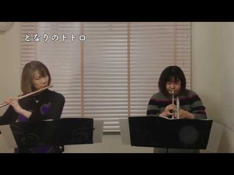 動画