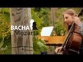 Bacha na Mozarta - HD
Bacha na Mozarta - HD