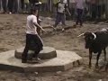Vaquilla del aguardiente