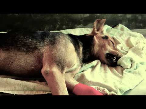 YouTube Preview Image