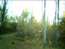 Just a test if the Lama V3 could cope carrying the FlyCamOne2. Outdoor as the cam is poor in indoor light and low altitude as the Lama cant handle wind at all. (For Team Numnut at teamnumnut.com)
