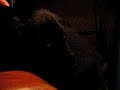 Krutov asleep