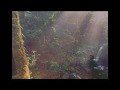 Deep Fall / Colour