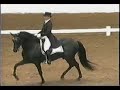 Exhaustivo www.purelusitanos.com Exhaustivo www.purelusitanos.com