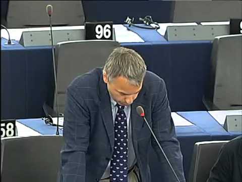 Niccolò Rinaldi on EU-Korea