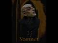 Noseferatu - Vidalquadras