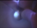 Waterbirth Baby Born Underwater in the Sac