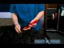 get instructions and tips on how to use slicker brushes for long haired dog grooming in this free pet grooming training video.
