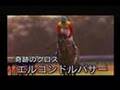 ウイニングポスト7ギャラリームービー