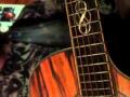 Willie Nelson cover acoustic