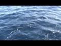 Guarda video