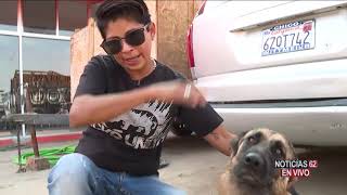 Las pandillas se han convertido en un dolor de cabeza – Noticias 62 - Thumbnail