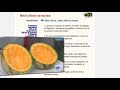 Sergio Fernández te enseña las mejores recetas navideñas