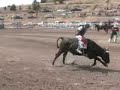 Youth Steer Riding Paulina Rodeo 2008