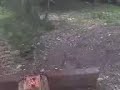 9N Pulling Stumps