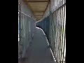 video11.mov Video