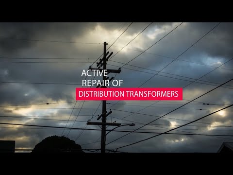 Case study on Active Repair of Distribution Transformers