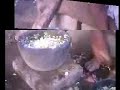 LUDHIANA PUNJABI MARIJUANA TIKKI LUDHIANA PUNJABI MARIJUANA TIKKI
