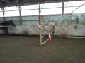 Jumpy