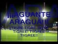 MARACAY (TIGRES DE ARAGUA)