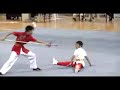 WUSHU MASTERS CHINA