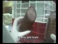 Zobacz video