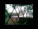 Fefe Psico - Chove Chuva