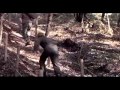 DMZ-the Demilitarized Zone part3