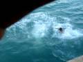 videos de Bung jump de leo