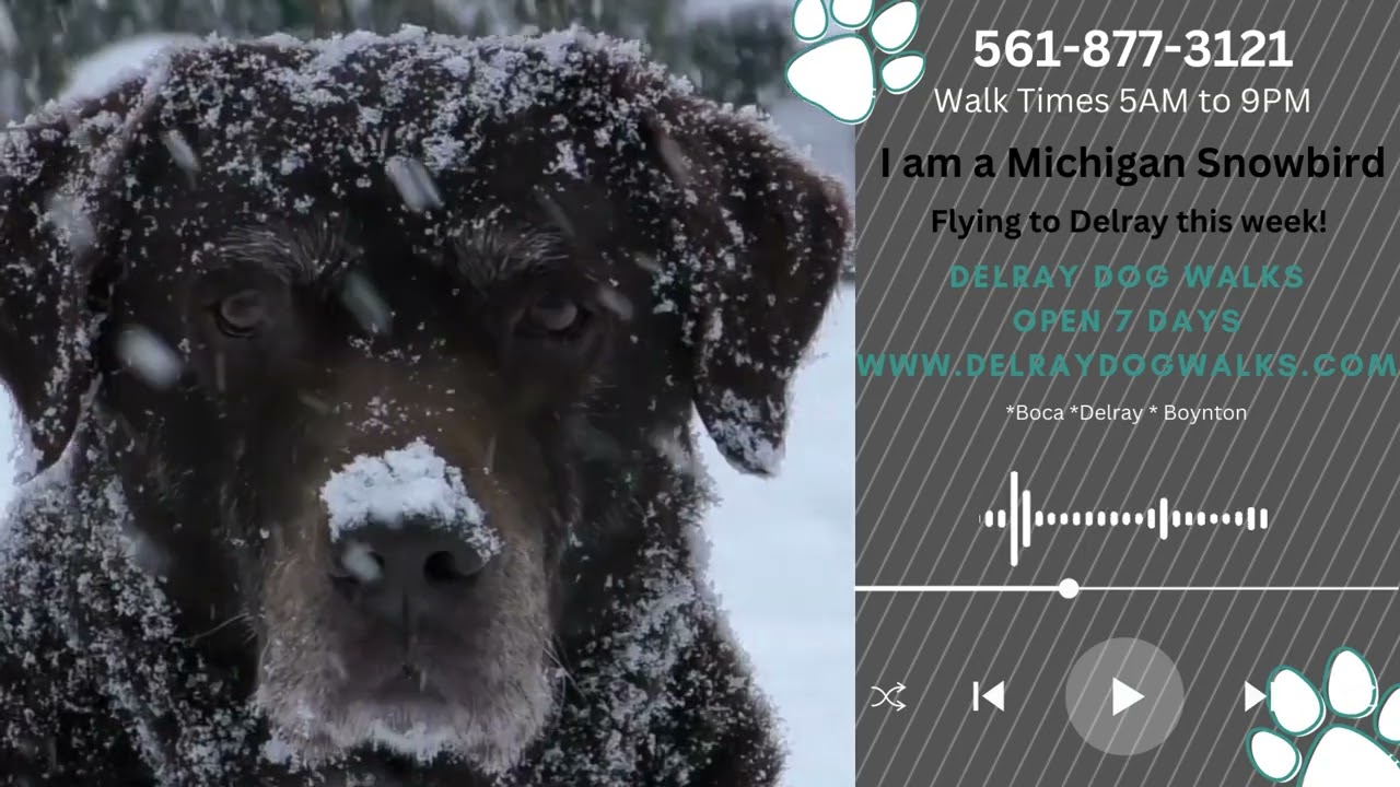 Michigan snowbird headed to Delray Beach!