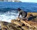 10 KG Groper