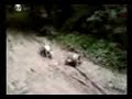 YZ 250 - Fast over handlebars!