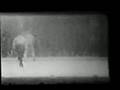 Jim Jeffries-Gus Ruhlin #2 - Nov 15 1901 - Naimark