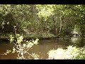 Simple Samples - Tales From The Riverbank Part 2 Simple Samples - Tales From The Riverbank Part 2
