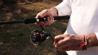 Rapala BX Swimmer